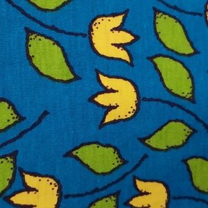 Springy Lularoe Dress.